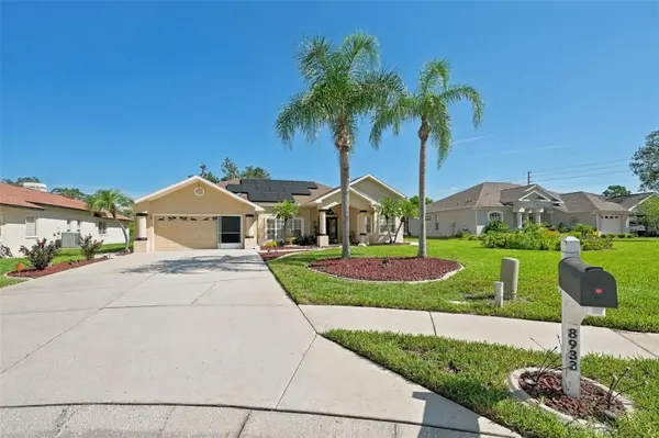 8933 THOREAU PL, Hudson, FL 34667