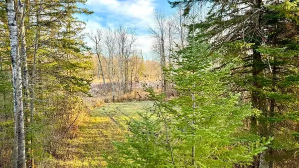 16794 Driftwood ST, Mcgregor, MN 55760