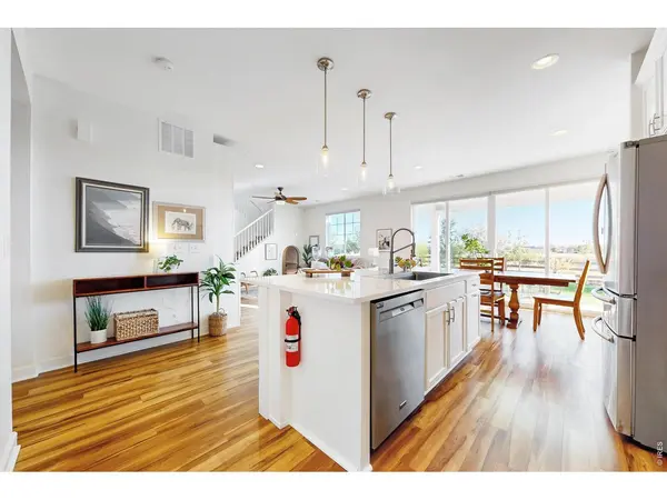 1573 Brolien, Windsor, CO 80550