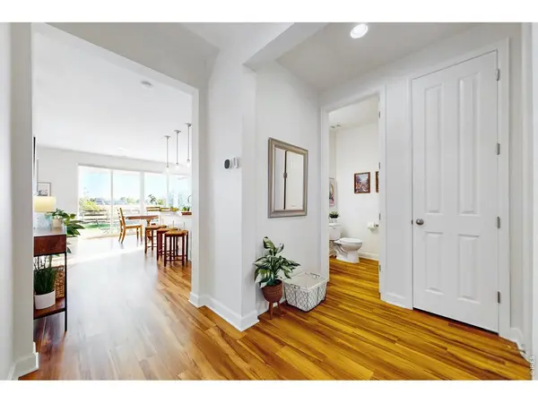 1573 Brolien, Windsor, CO 80550