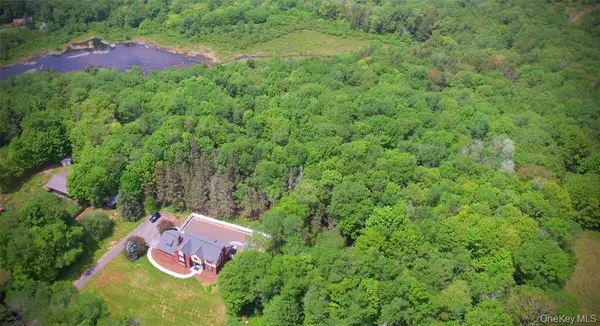 285 Goff RD, Livingston Manor, NY 12758