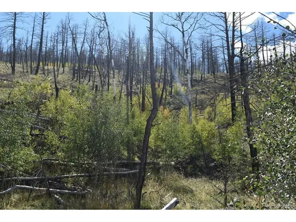 0 Soubry, Fort Garland, CO 81133