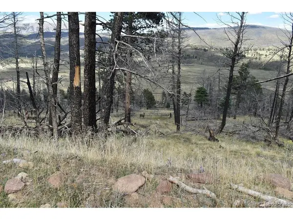 0 Soubry, Fort Garland, CO 81133