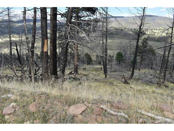 0 Soubry, Fort Garland, CO 81133