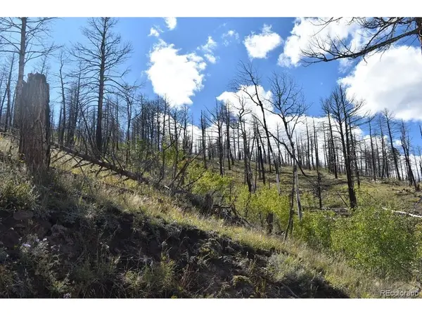 0 Soubry, Fort Garland, CO 81133