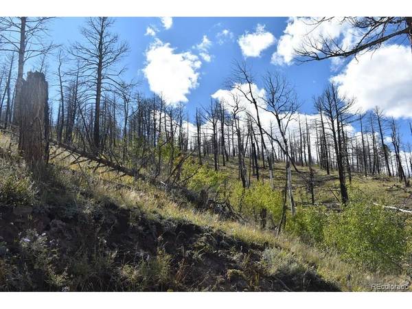 0 Soubry, Fort Garland, CO 81133