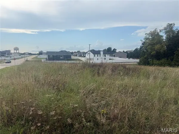 32 acres Pinckney ST, Warrenton, MO 63383