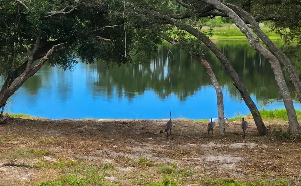 5387 SE 168TH AVE, Ocklawaha, FL 32179