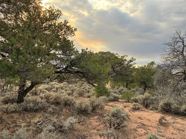 LOT 7275 Red Jones RD, Fort Garland, CO 81133