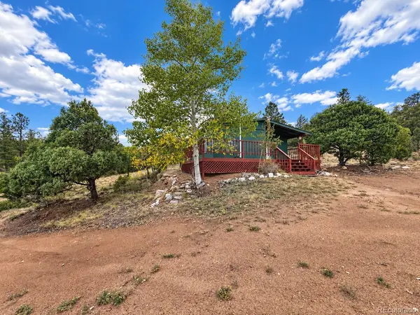 3455 Bird Point DR, Cotopaxi, CO 81223