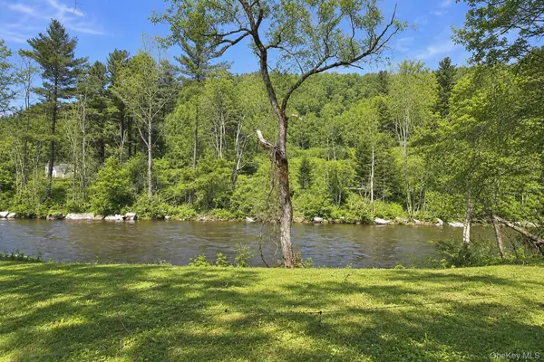 53 Yorktown RD, Roscoe, NY 12776