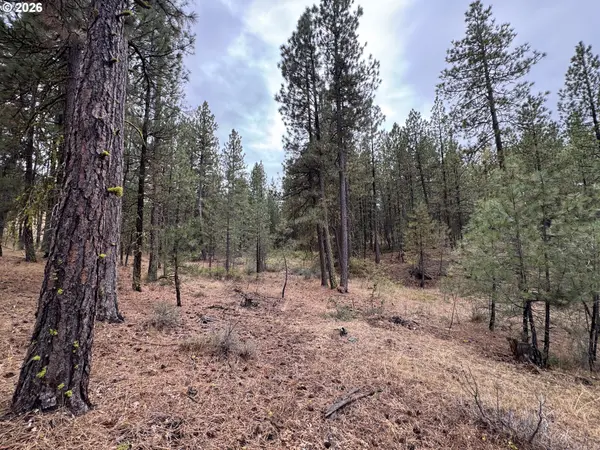 Fireline, Bickleton, WA 99322