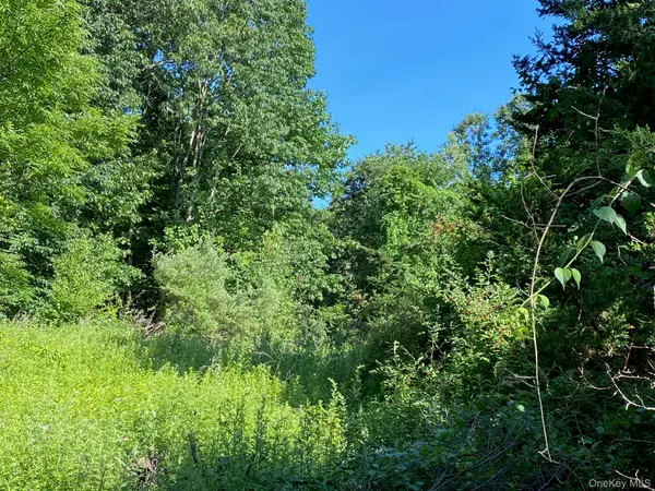 Jerry, Wassaic, NY 12592