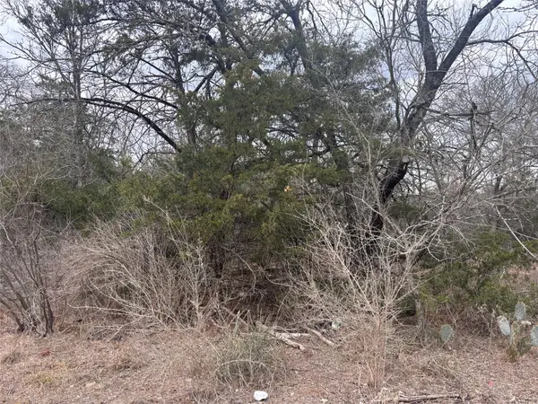 TBD Pearson RD, Cedar Creek, TX 78616