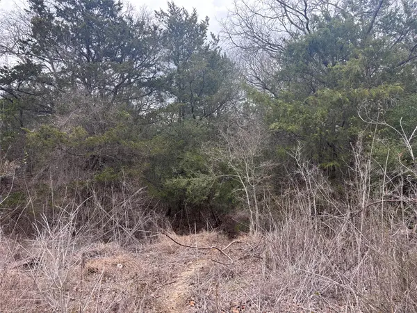 TBD Pearson RD, Cedar Creek, TX 78616