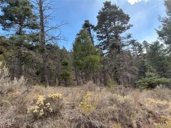 5504 Kriendler, San Luis, CO 81152