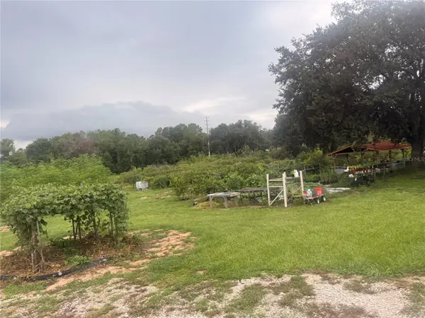 7901 N CHERRY LAKE GROVES RD, Groveland, FL 34736