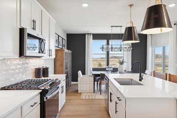 15039 Askeaton PL, Rosemount, MN 55068