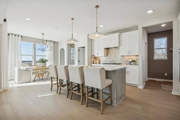 1533 149th ST, Rosemount, MN 55068
