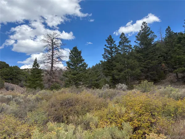 LOT 5504 Kriendler RD, San Luis, CO 81152