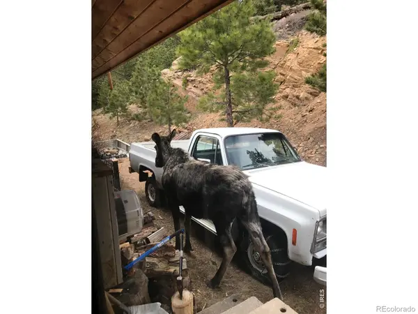 32307 Sylvan RD, Golden, CO 80403