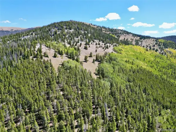 840 Forest Service Road 890, White Pine, CO 81248