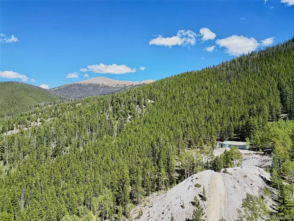 840 Forest Service Road 890, White Pine, CO 81248