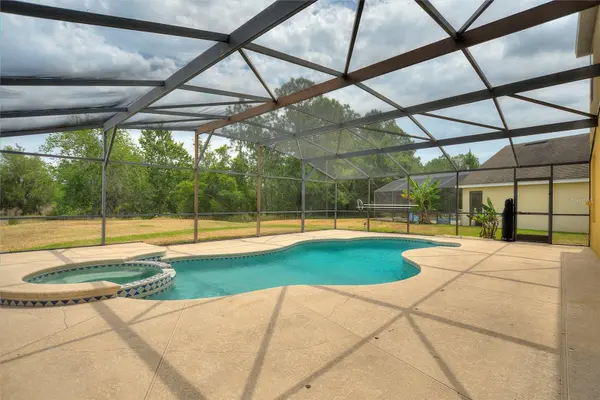 146 AFRICAN DAISY CT, Davenport, FL 33837
