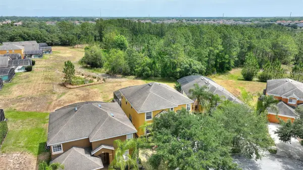 146 AFRICAN DAISY CT, Davenport, FL 33837