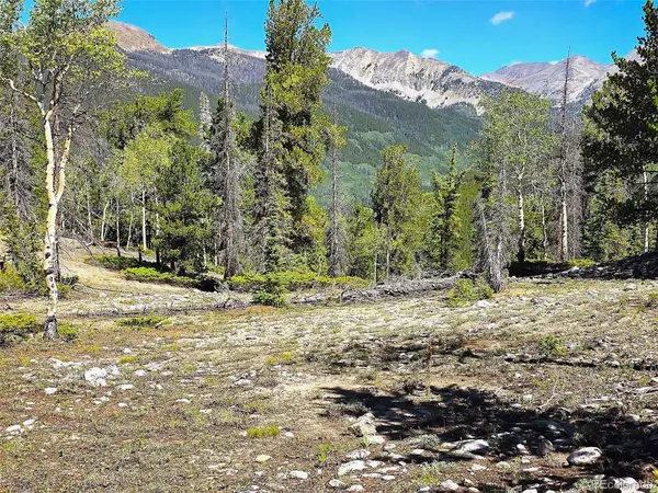 840 Forest Service Road 890, White Pine, CO 81248