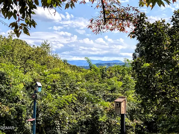 2531 Highland Park Drive, Pigeon Forge, TN 37863