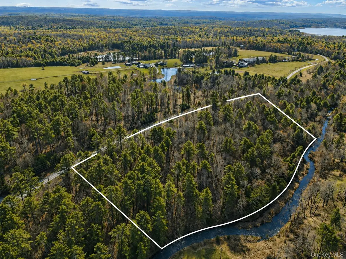 Lot 3 Chapin Trail, White Lake, NY 12786