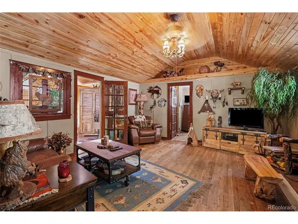 15751 S Elk Creek, Pine, CO 80470