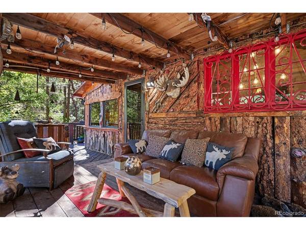 15751 S Elk Creek, Pine, CO 80470