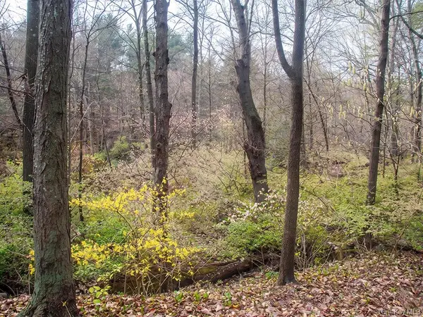 Lot 3 Chapin Trail, White Lake, NY 12786