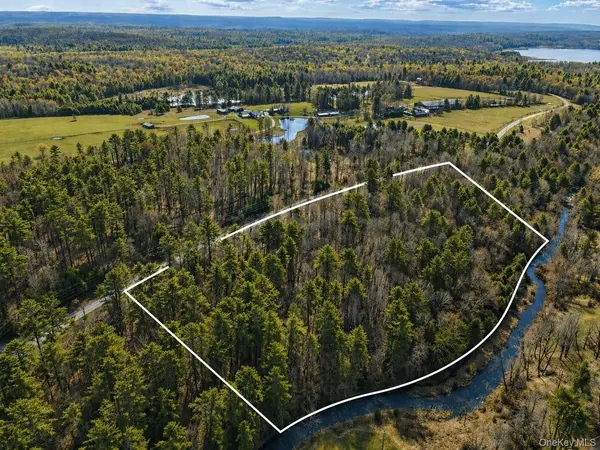 Lot 3 Chapin Trail, White Lake, NY 12786
