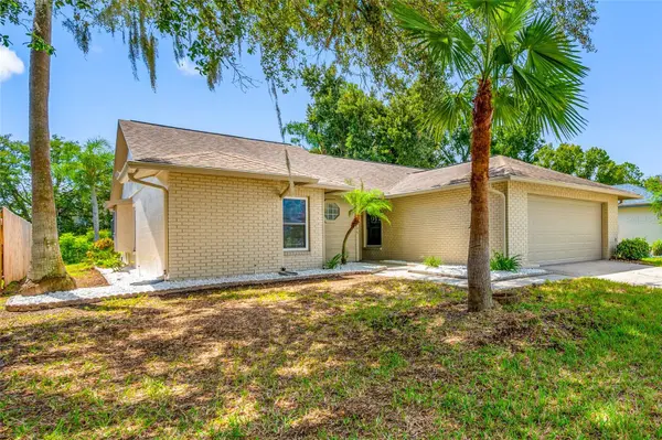 11925 CEDARFIELD DR, Riverview, FL 33579