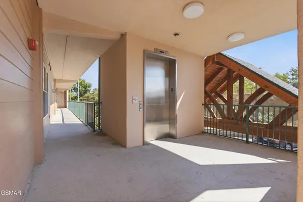 410 Big Bear Way #3002, Pigeon Forge, TN 37863