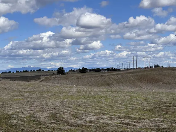 1119A S Dover Rd, Medical Lake, WA 99022
