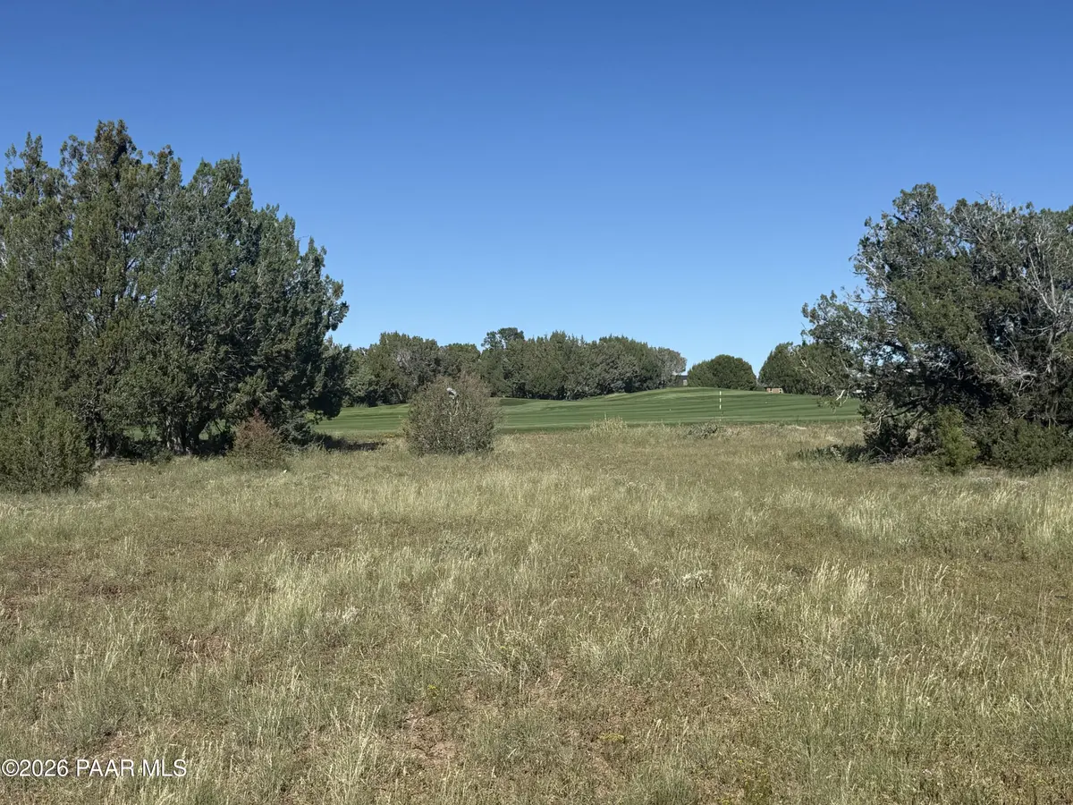 8396 Lake View DR, Show Low, AZ 85901