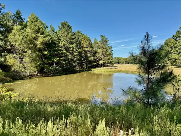 TBD County Road 4025, Lovelady, TX 75851