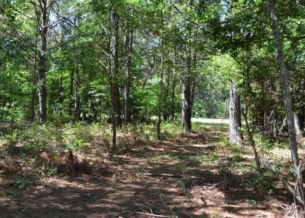 TBD County Road 4025, Lovelady, TX 75851