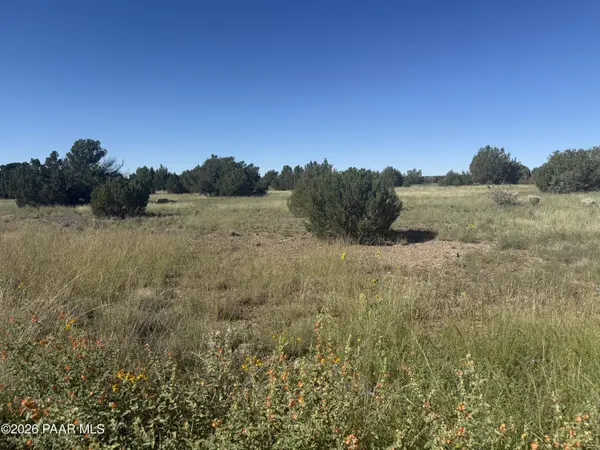 8396 Lake View DR, Show Low, AZ 85901