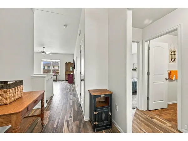 909 Ponderosa, Severance, CO 80550