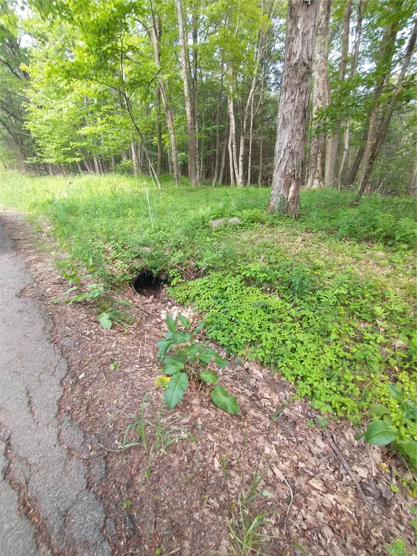Old Loomis RD, Liberty, NY 12734