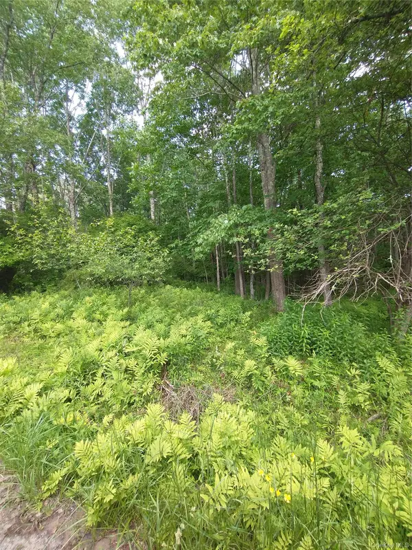 Old Loomis RD, Liberty, NY 12734