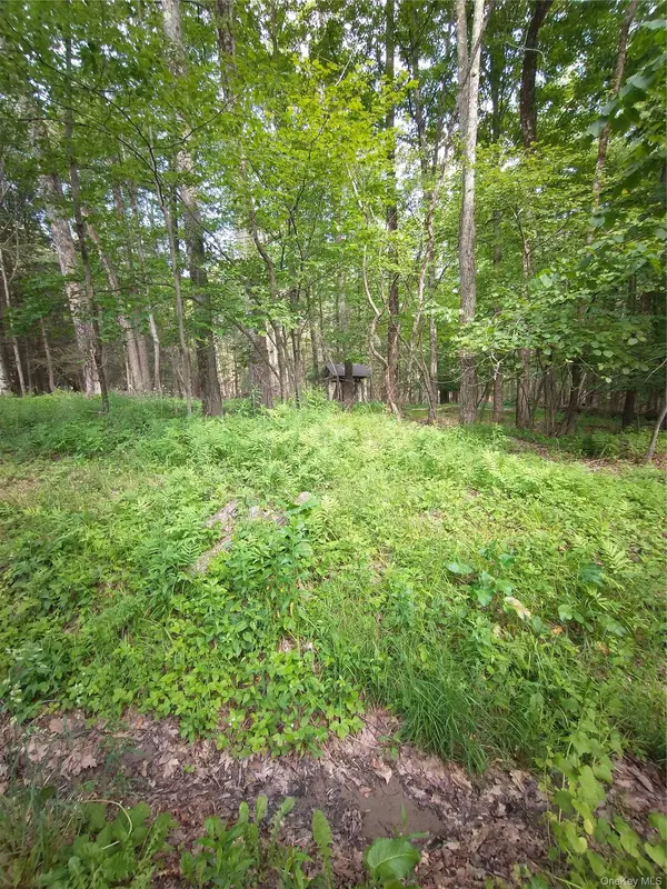 Old Loomis RD, Liberty, NY 12734