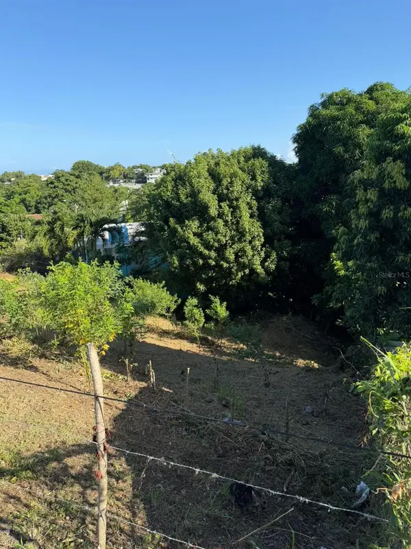 OCEANVIEWS - PUNTAS -413- SECTOR COLLAZO, Rincon, PR 00677