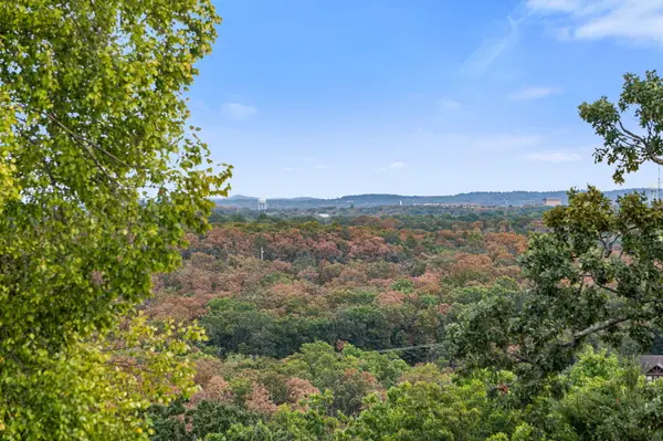 56 Mountain View CT, Branson West, MO 65737