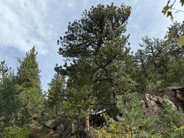 555 Riverside, Lyons, CO 80540